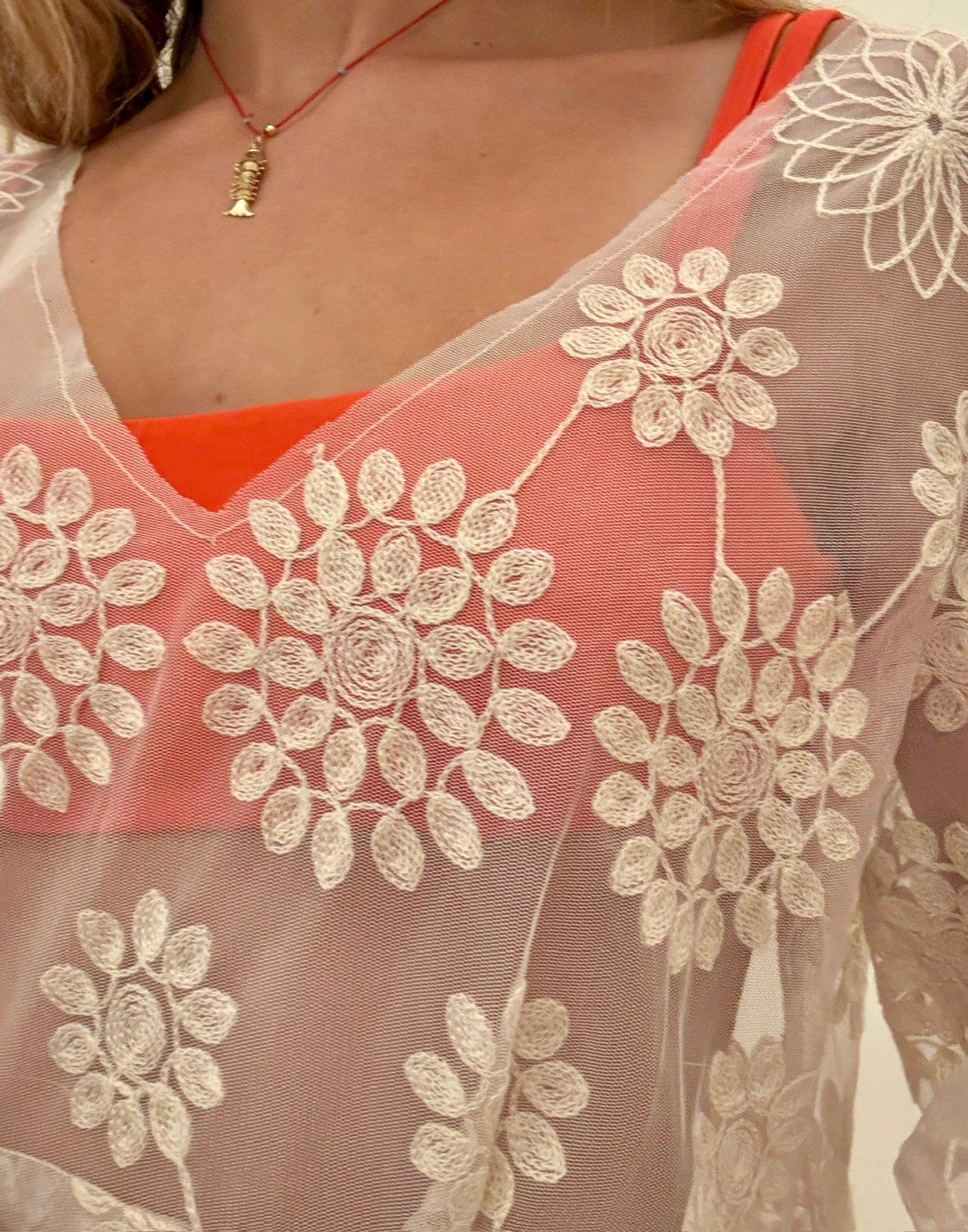 Vintage Sheer Embroidered Dress