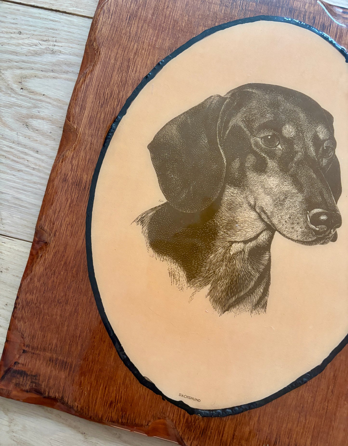 Vintage Dachshund Shellacked Portrait