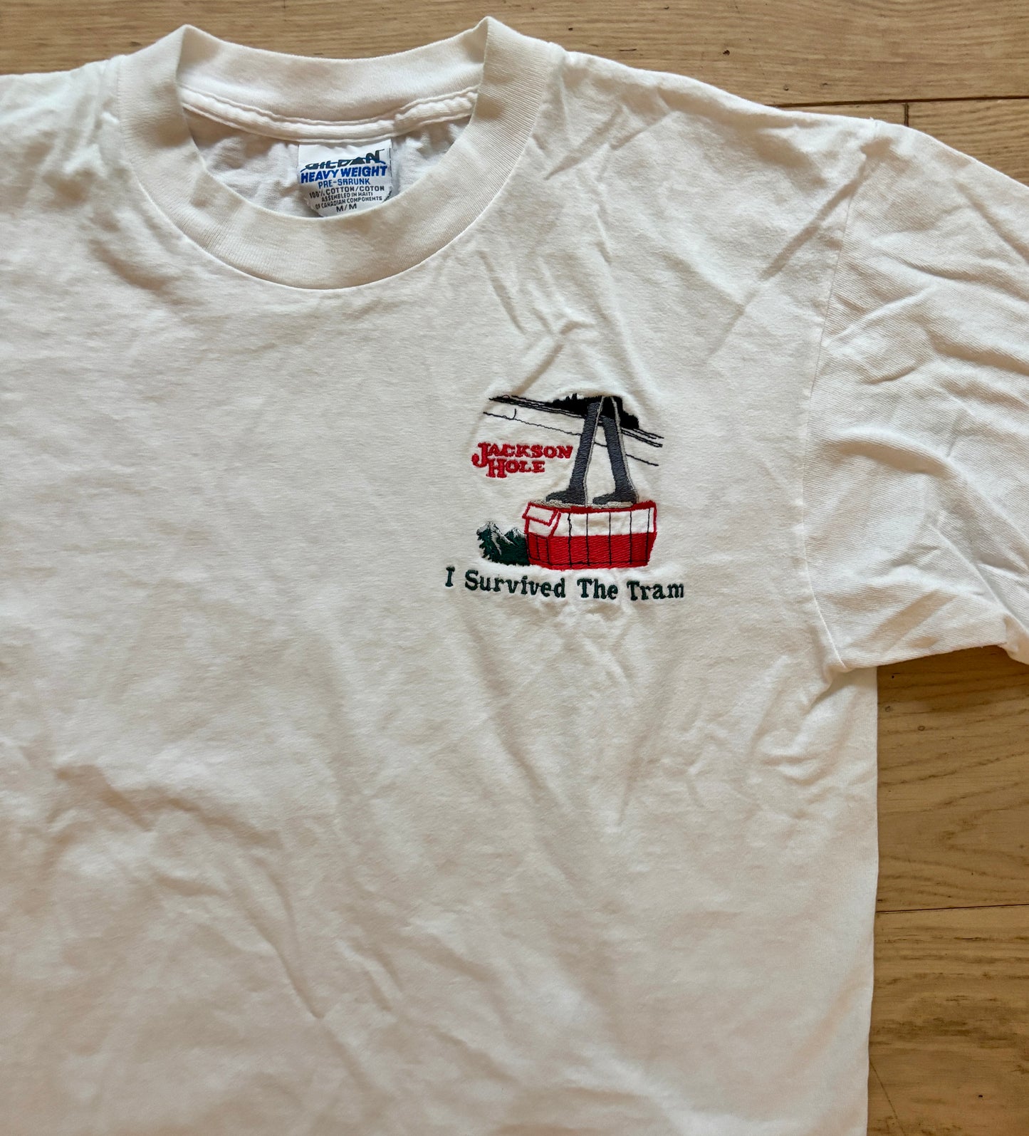 Vintage "I Survived the Tram" T-Shirt